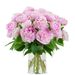 Pivoines doubles roses (large)