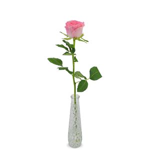 1 premium roze roos + vaas