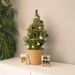 Kerstboom Cinnamon