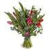 liebevolle Tulpen
