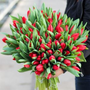 Grote bos rode tulpen XL