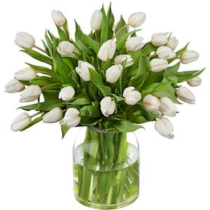 Wit tulpen boeket
