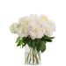 Witte dubbele pioenrozen (small)