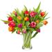 25 gemengde tulpen