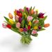 Tulips in mixed colors