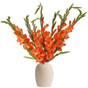 Oranje gladiolen