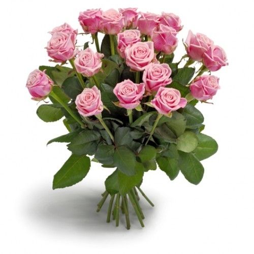 Lange rosa Rosen (60 – 70cm) als Strauß gebunden