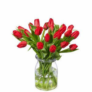 Bouquet of red tulips