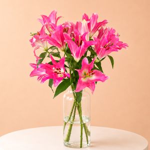 Lilien - Rosa orientalische Lilien
