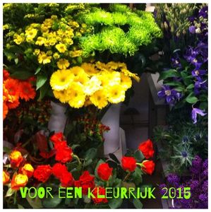 Bloemenwinkel t Blommeke - kleurrijk 2015