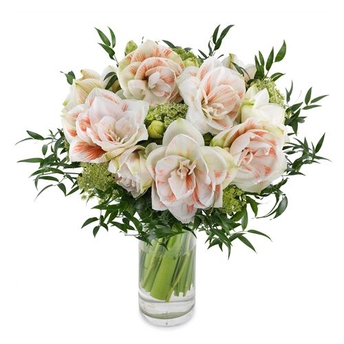 Winter flowers - Winter flowers delivery in Germany | Regionsflorist