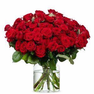 50 Premium red Roses - Red Naomi | Grower