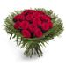 Perfektion aus roten Rosen