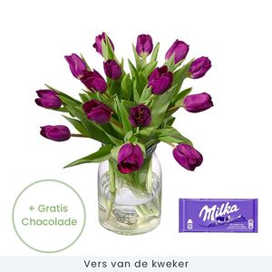 Purple Tulips + Chocolate