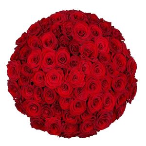 70 Red Roses | Florist