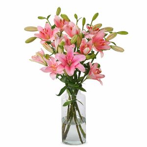 Lilies - Pink Lilies
