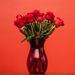 20 rode rozen (40 cm)