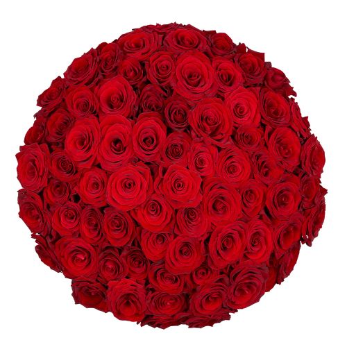 70 Rote Rosen - Premium Red Naomi