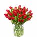 Bouquet of red tulips