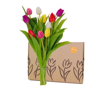 Boîte aux lettres Tulipes Mixtes