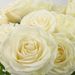 50 Premium witte rozen