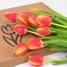 Letterbox Warm Multicolour Tulips