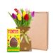 Easter Letterbox Tulip mix