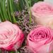 Liefdevolle rozen mix | Kweker