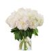 Witte dubbele pioenrozen (medium)