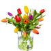 Colorful mixed tulips bouquet