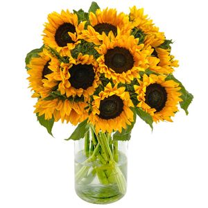 10 Zonnebloemen - Aanbieding