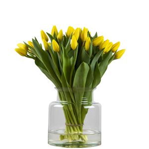 Bos gele tulpen