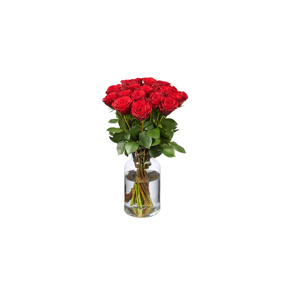 50 Red Roses - Large
