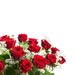 20x red Naomi roses | Regiokweker