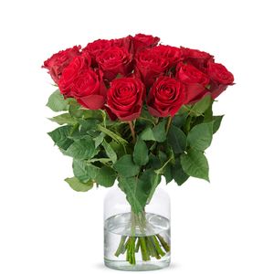 Long red roses | choose quantity