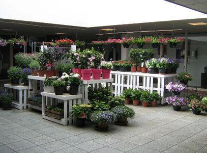 Uitstalling bloemen van Bloemenhuis Hortensius in Hilversum