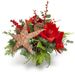 Fröhliche Weihnachten