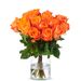 20 Orange Roses (40 cm)