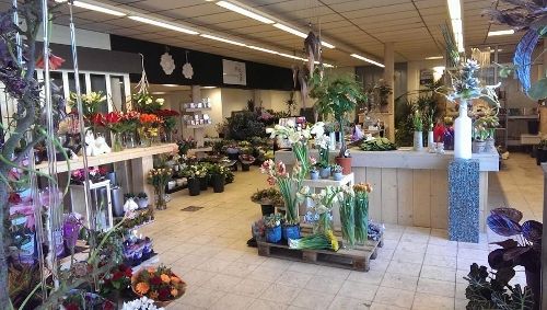 Foto in de bloemenwinkel van De Passiebloem Velp