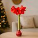 Amaryllis waxbol (rode glitter)
