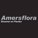 Amersflora by Kevin
