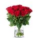 20 roses rouges (40 cm)