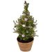 Kerstboom Silver