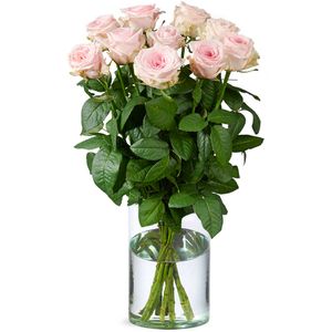 10 Premium roze rozen | Kweker
