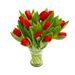 hinreißende rote Tulpen