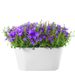 Campanula lila + gratis pot wit