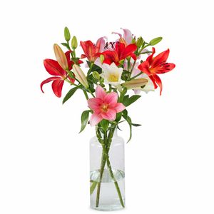 Lilien – Fancy mix