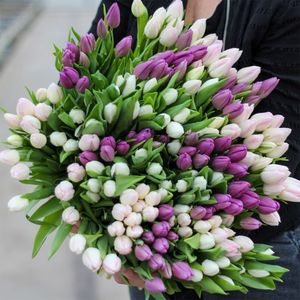 Grote bos pastel tulpen XL