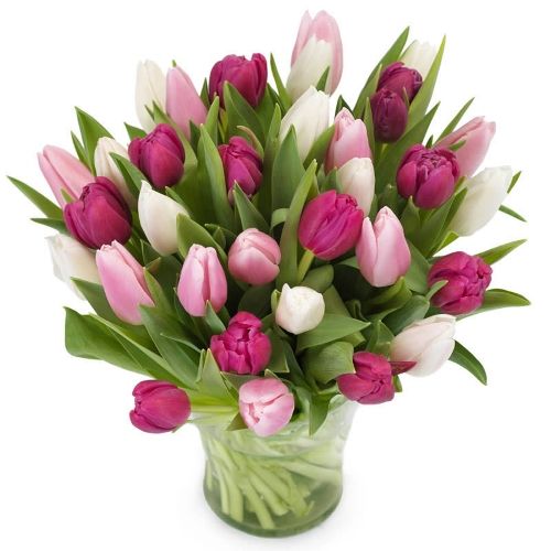 Boeket met paarse, witte en roze tulpen