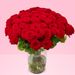 100 rode rozen - Premium Red Naomi